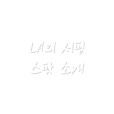 LA의 서핑 스팟 소개