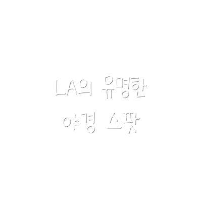 LA의 유명한 야경 스팟