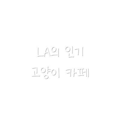 LA의 인기 고양이 카페