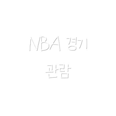 NBA 경기 관람