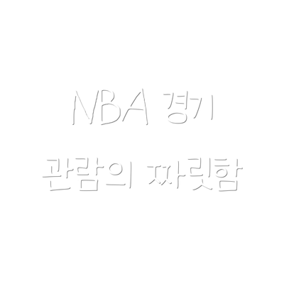 NBA 경기 관람의 짜릿함