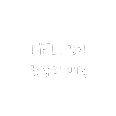 NFL 경기 관람의 매력