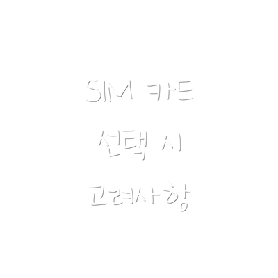SIM 카드 선택 시 고려사항