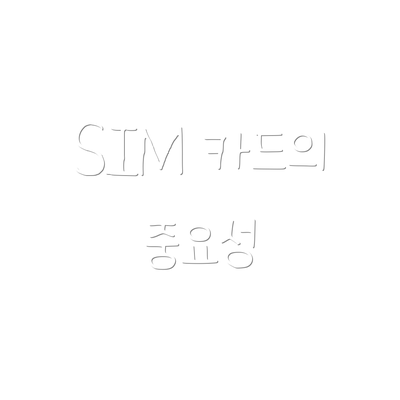 SIM 카드의 중요성