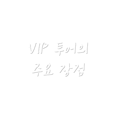 VIP 투어의 주요 장점