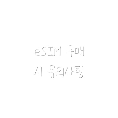eSIM 구매 시 유의사항