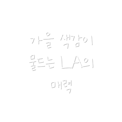 가을 색감이 물드는 LA의 매력