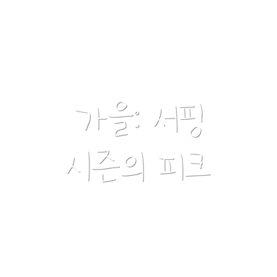 가을: 서핑 시즌의 피크
