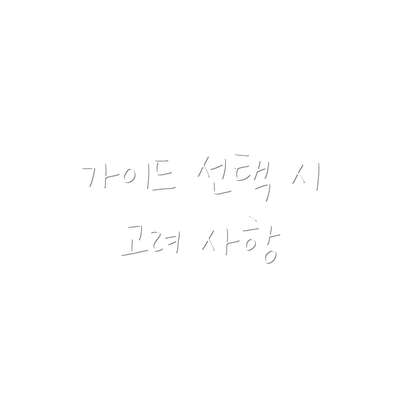 가이드 선택 시 고려 사항