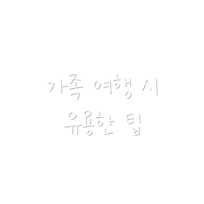 가족 여행 시 유용한 팁