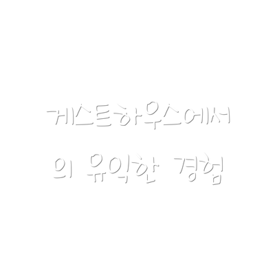 게스트하우스에서의 유익한 경험