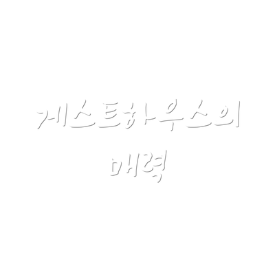 게스트하우스의 매력