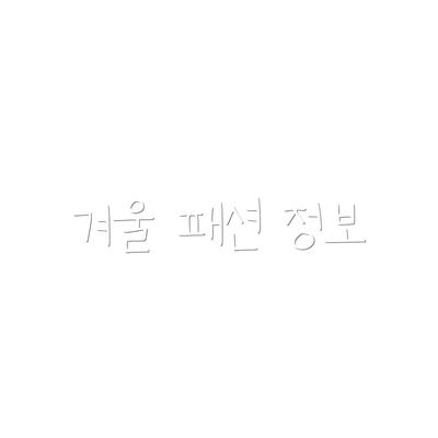 겨울 패션 정보