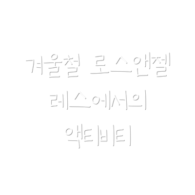 겨울철 로스앤젤레스에서의 액티비티
