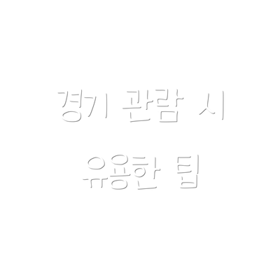 경기 관람 시 유용한 팁