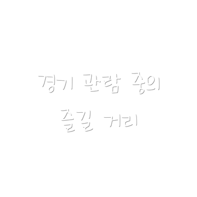 경기 관람 중의 즐길 거리
