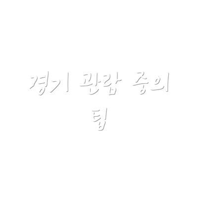 경기 관람 중의 팁