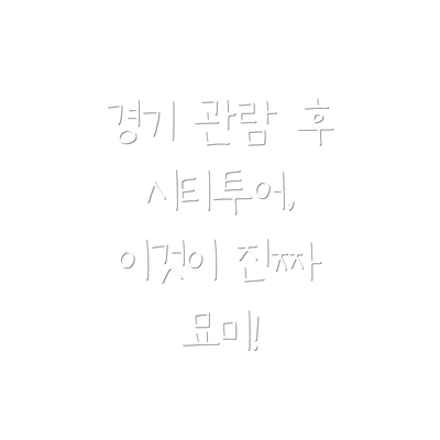경기 관람 후 시티투어, 이것이 진짜 묘미!