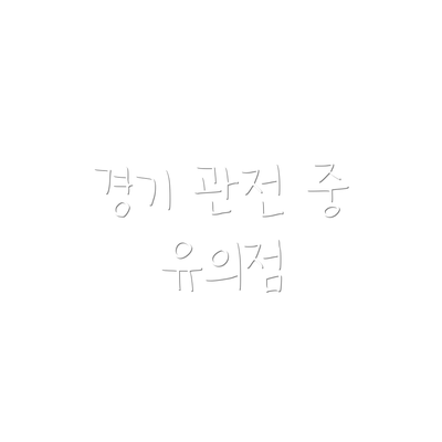경기 관전 중 유의점