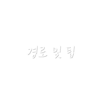 경로 및 팁