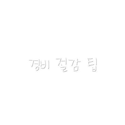 경비 절감 팁
