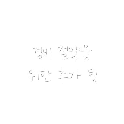 경비 절약을 위한 추가 팁