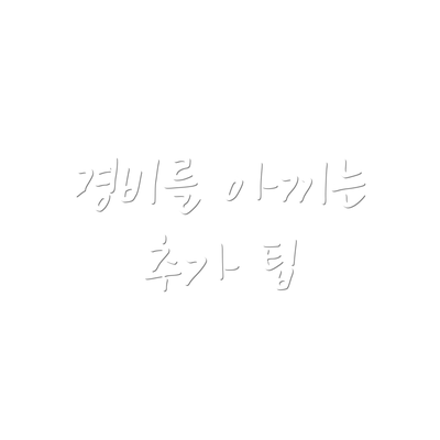 경비를 아끼는 추가 팁