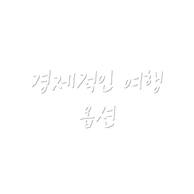 경제적인 여행 옵션