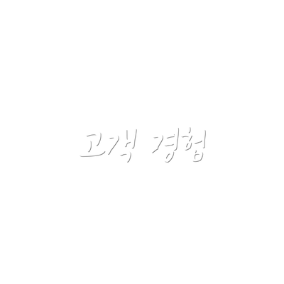고객 경험