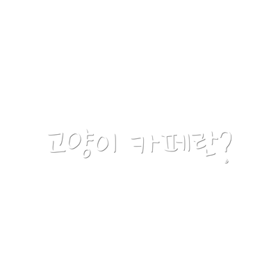 고양이 카페란?