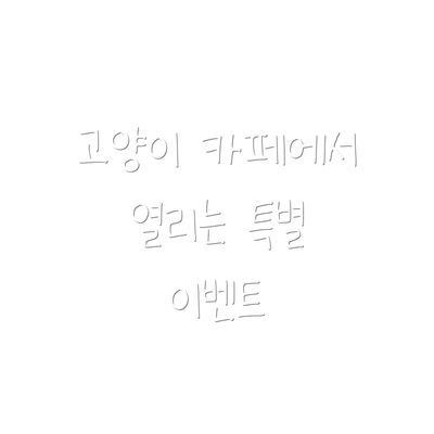 고양이 카페에서 열리는 특별 이벤트