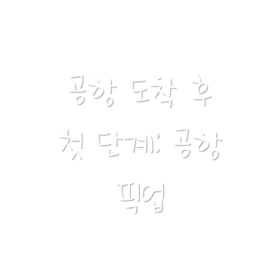 공항 도착 후 첫 단계: 공항 픽업
