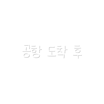 공항 도착 후