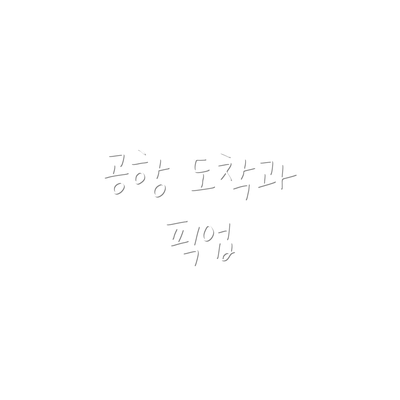 공항 도착과 픽업