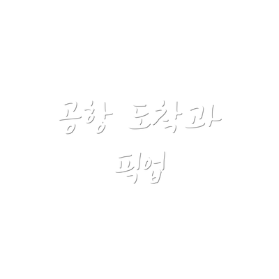 공항 도착과 픽업