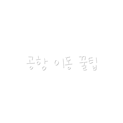 공항 이동 꿀팁