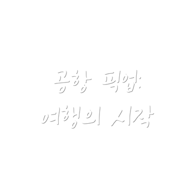 공항 픽업: 여행의 시작