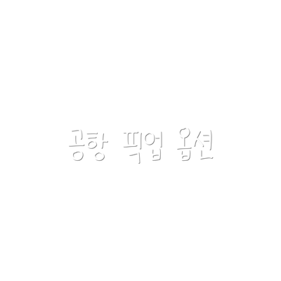 공항 픽업 옵션