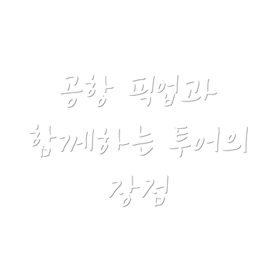 공항 픽업과 함께하는 투어의 장점