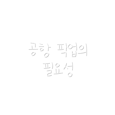 공항 픽업의 필요성