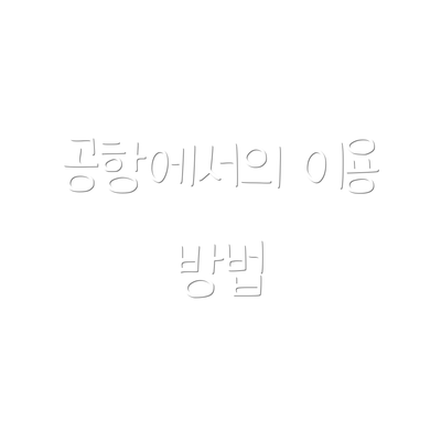 공항에서의 이용 방법