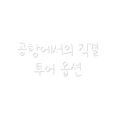 공항에서의 직결 투어 옵션