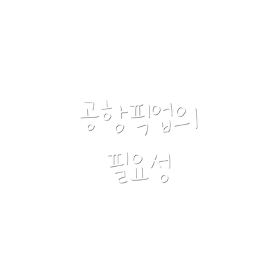 공항픽업의 필요성