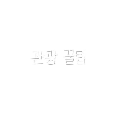 관광 꿀팁