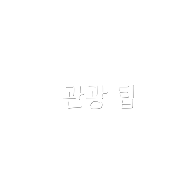 관광 팁