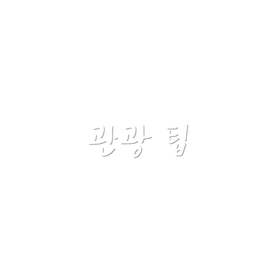 관광 팁