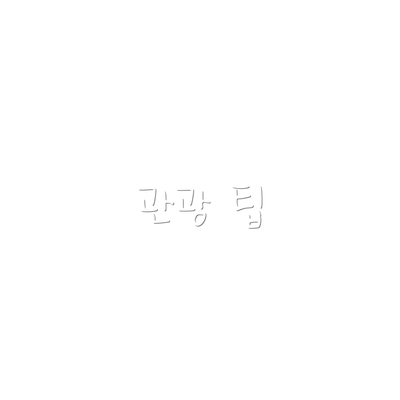 관광 팁