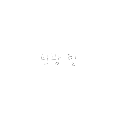 관광 팁