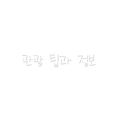 관광 팁과 정보