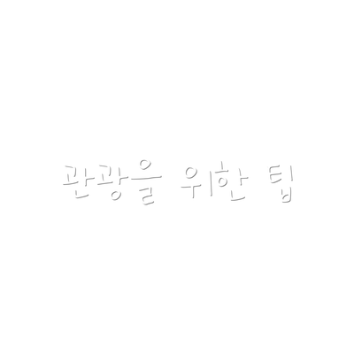관광을 위한 팁